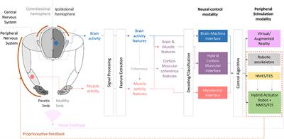 Challenges of neural interfaces for stroke motor rehabilitation